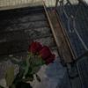 Содержанка Ева 20 лет