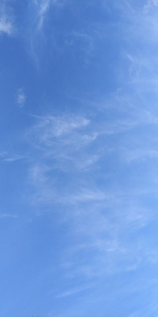 Содержанка Соня 21 год желает познакомиться