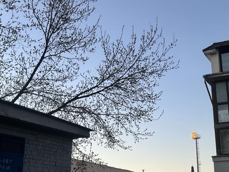 Содержанка Xxx 20 лет желает познакомиться