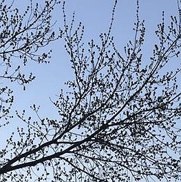 Содержанка Xxx 20 лет