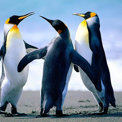 Содержанка Аля 23 года